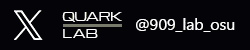 QUARK LAB - X